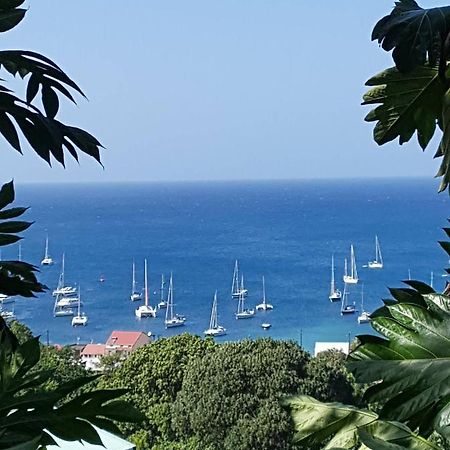 Gites Les Lodges Des Hauts De Deshaies Bungalow Barbade エクステリア 写真