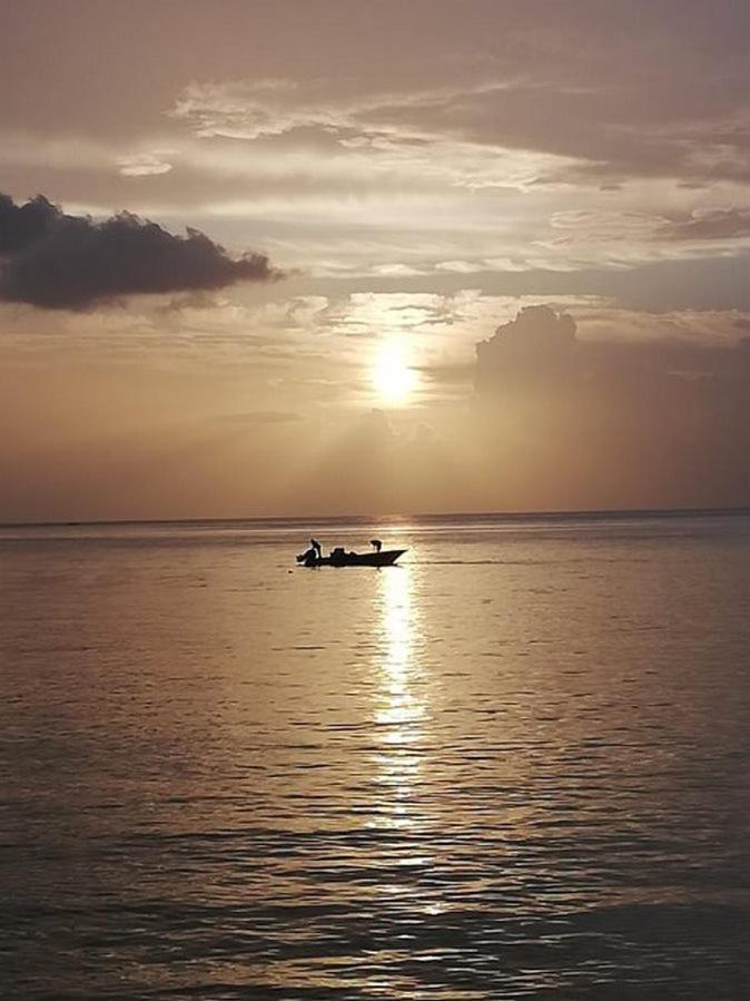 Gites Les Lodges Des Hauts De Deshaies Bungalow Barbade エクステリア 写真